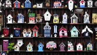 Image for event: Service Saturday for Teens: Birdhouses