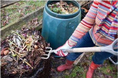 Image for event: Composting Made Simple