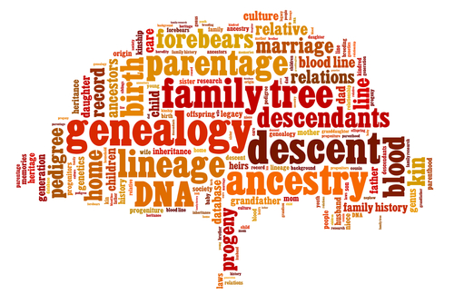 Image for event: Genealogy Walk-In Assistance