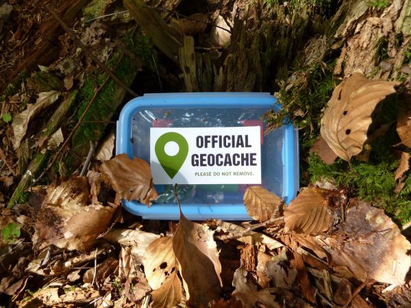 Image for event: Geocaching at the Library!