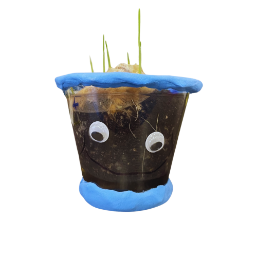 Image for event: DIY Chia Pet