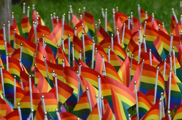 Image for event: DIY Pride Flags