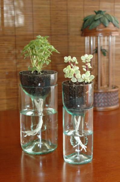 Image for event: Self-Watering Bottle Planter