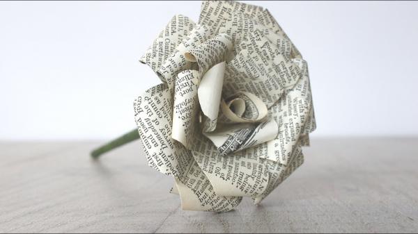 Image for event: Book Page Rose Pens
